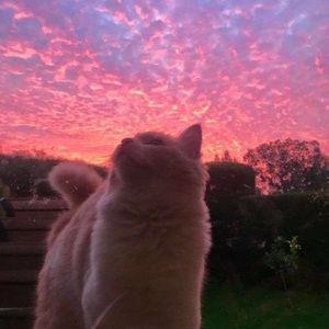 Meet your Posher, Autumn